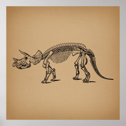 Poster Tricératops Dinosaur Squelette Art préhistorique (Devant)