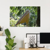 Poster Tricky Pelican Bird se cachant (Bureau à domicile)