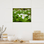 Poster Trillium Fleur sauvage (Cuisine)