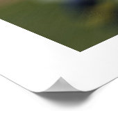 Poster Trimestre (Coin)