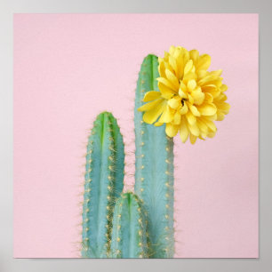 Poster Trio bleu de cactus