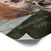 Poster Trio de Bouledogues Anglais - L'Accolade (Coin)