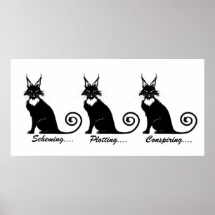 Poster Trio de chats en lot