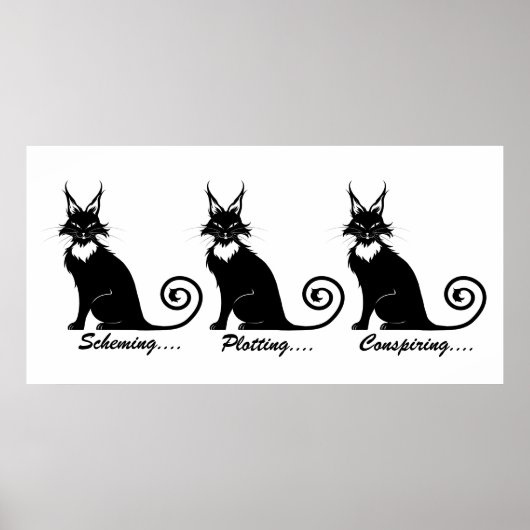 Poster Trio de chats en lot (Devant)