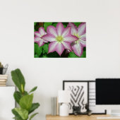 Poster Trio de Clematis Pink and White Spring Vine (Bureau à domicile)