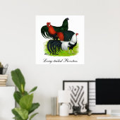 Poster Trio de coq à longue queue (Bureau à domicile)