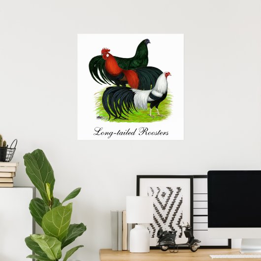 Poster Trio de coq à longue queue (Bureau à domicile)