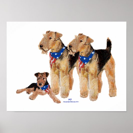 Poster Trio de drapeaux patriotiques (Devant)