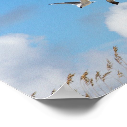 Poster Trio de gode 3 (Coin)