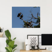 Poster Trio de Hamerkops dans la Canopée (Bureau à domicile)