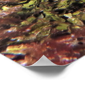 Poster Trio de homard (Coin)