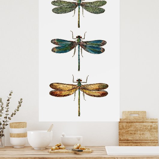 Poster Trio de libellules (Cuisine)