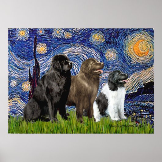 Poster Trio de Terre-Neuve - Nuit étoilée (Devant)