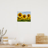 Poster Trio de Tournesols (Cuisine)