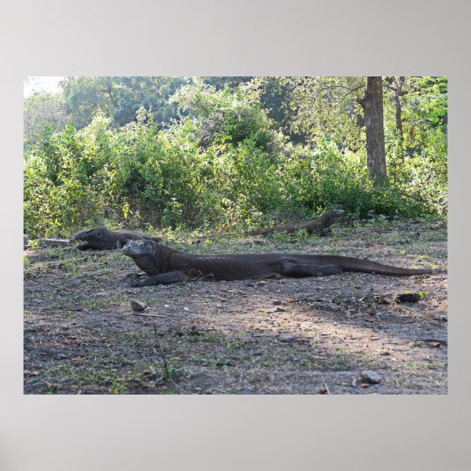 Poster Trio des dragons (Devant)