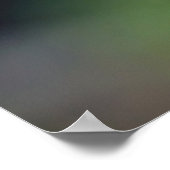 Poster Trio des grenouilles arborescentes (Coin)