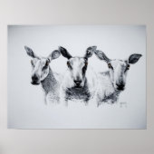 Poster Trio d'impression des moutons (Devant)