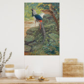 Poster Trio du faisan de Lady Amherst par cascade (Cuisine)