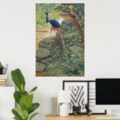 Poster Trio du faisan de Lady Amherst par cascade (Bureau à domicile)