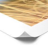 Poster Trio en herbe (Coin)