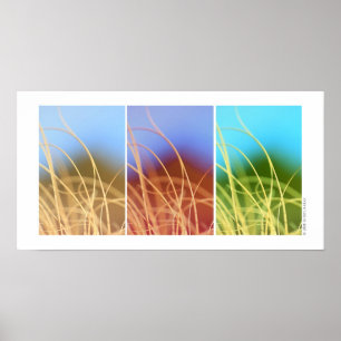 Poster Trio en herbe