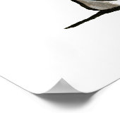 Poster Trio italien Greyhound (Coin)