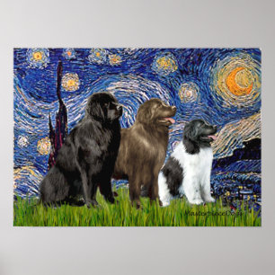 Poster Trio Newfie - Nuit étoilée