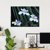 Poster Trio Papillon Iris (Bureau à domicile)