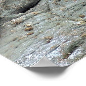 Poster Trio Pose de phoque (Coin)