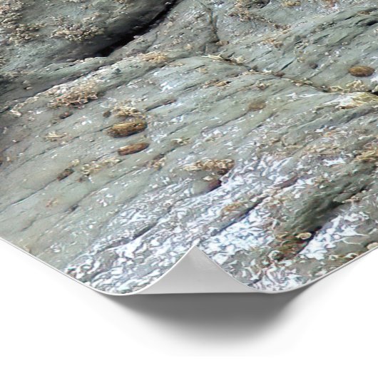 Poster Trio Pose de phoque (Coin)