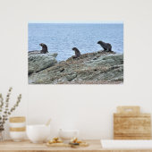 Poster Trio Pose de phoque (Cuisine)