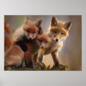 Poster Triplets Foxy (Devant)