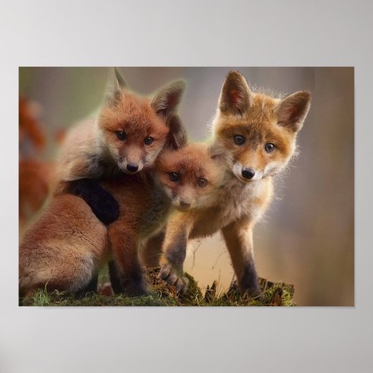 Poster Triplets Foxy (Devant)