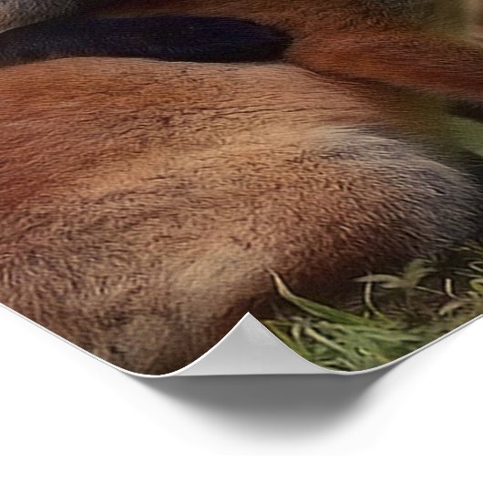 Poster Triplets Foxy (Coin)