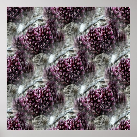 Poster Trippin' Tidepools.... (Devant)