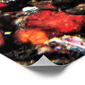 Poster Trippy Leopard Moray (Coin)