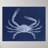 Poster Triptyque de crabe surdimensionné en bleu (Devant)