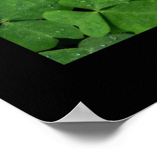 Poster Triptyque feuille de verglas (Coin)