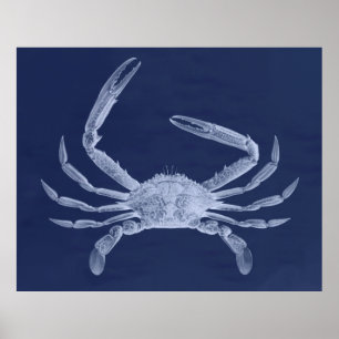 Poster Triptyque surdimensionné de crabe dans le bleu
