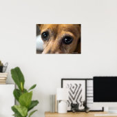 Poster Tristes yeux (Bureau à domicile)