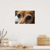 Poster Tristes yeux (Cuisine)