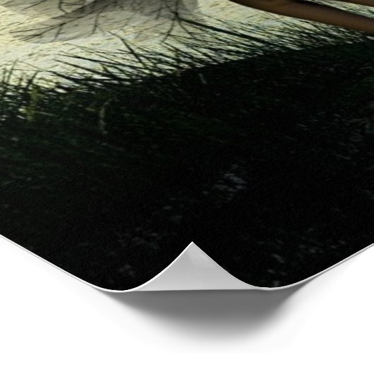 Poster Tristesse (Coin)