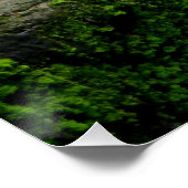 Poster Trivia de chat blanc (Coin)