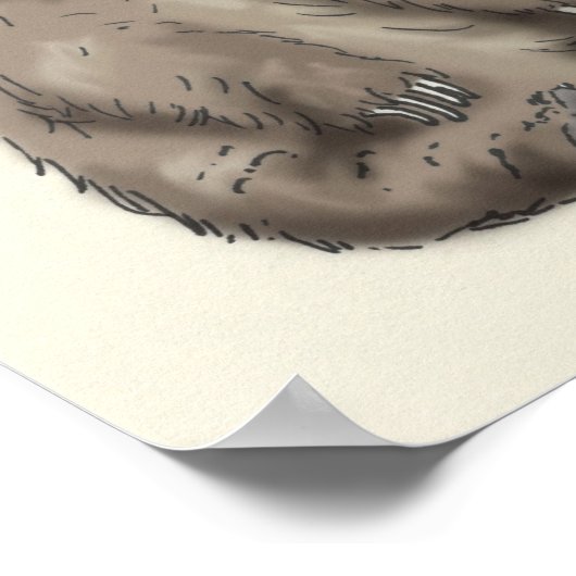 Poster trivia de grizzlis (Coin)