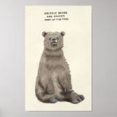 Poster trivia de grizzlis (Devant)