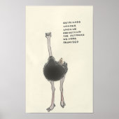 Poster trivia ostrich (Devant)