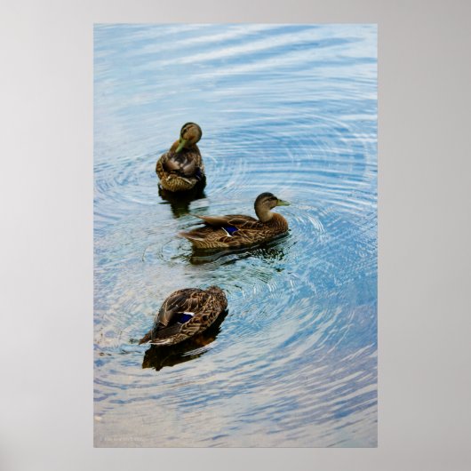 Poster Trois (Devant)