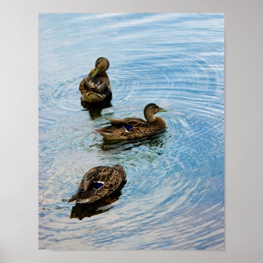 Poster Trois (Devant)