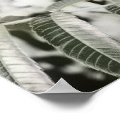 Poster Trois 16" (Coin)