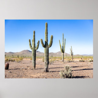Poster Trois Amigo Saguaros
